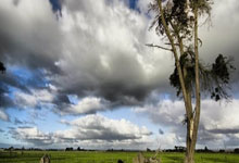 铿锵玫瑰，荣耀绽放：美国女足冠军之路，一部不朽的史诗