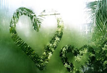 那不勒斯主场狂飙,剑指欧冠,蓝色的荣耀之夜!