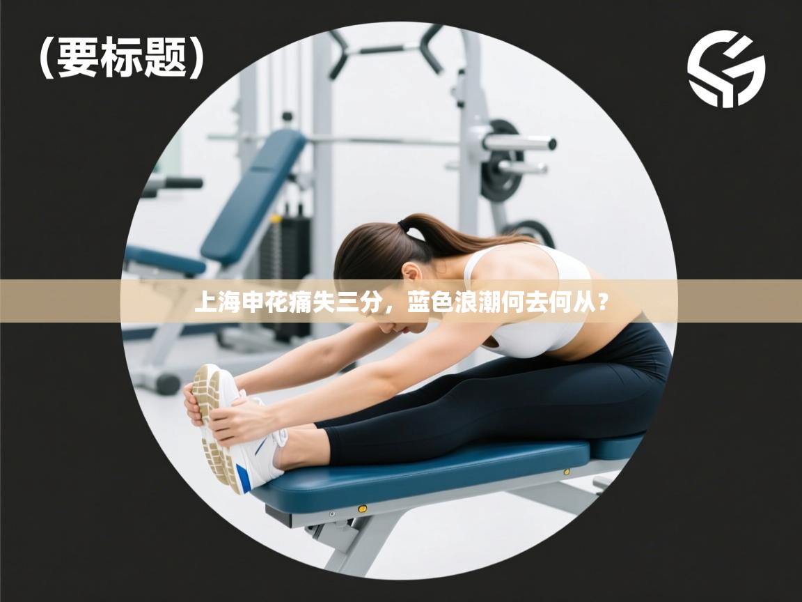 上海申花痛失三分，蓝色浪潮何去何从？  第2张
